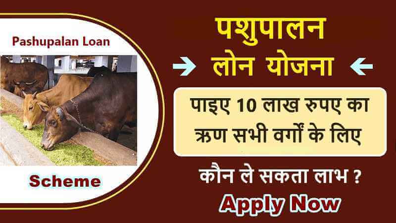 Pashupalan Ke Liye Loan Kaise Milta Hai (पशु किसान क्रेडिट कार्ड योजना 2023)? Apply Online for Pashupalan Loan Yojana 2023 in Gujarat, UP, MP, Rajasthan, Bihar, etc.